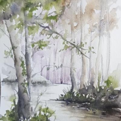 Paysages