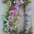 Les roses trémières