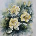 Roses jaunes