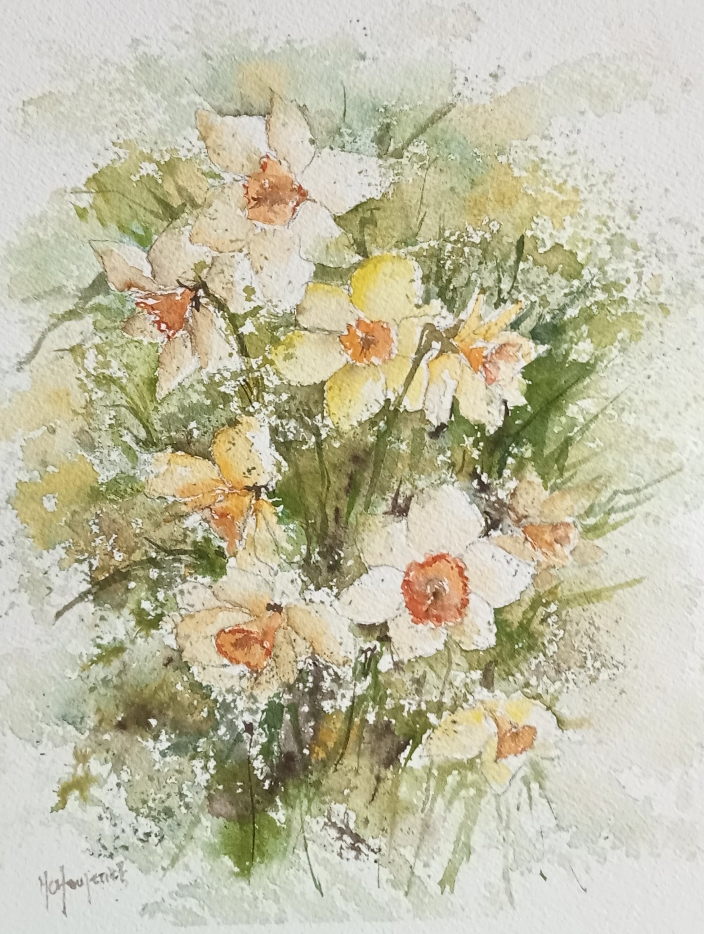 Narcisses