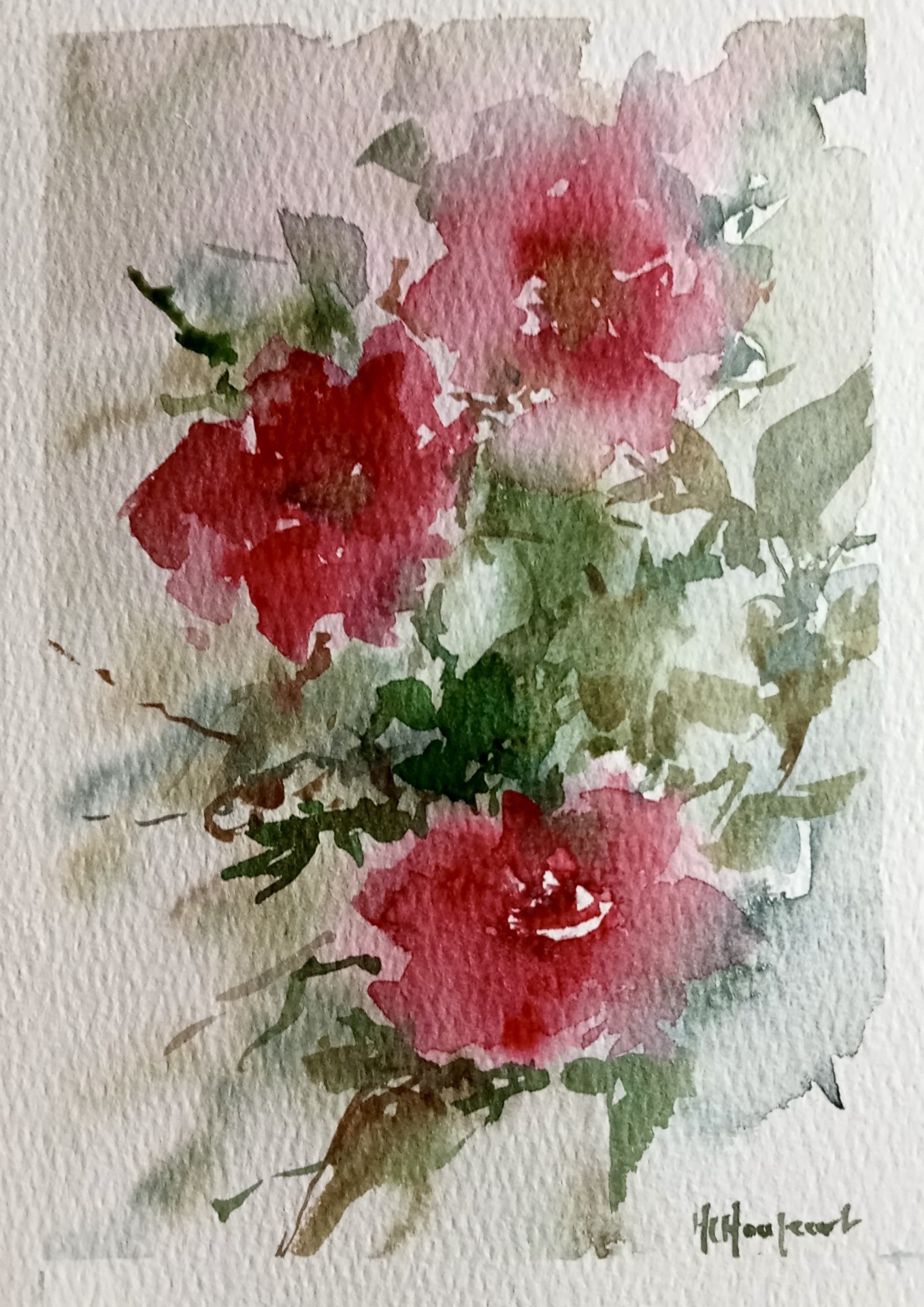 Roses